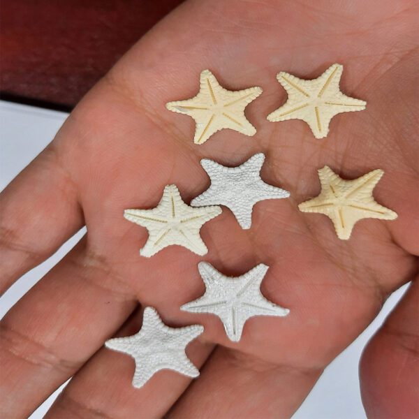 اشکال سه بعدی ستاره دریایی (4 عددی)