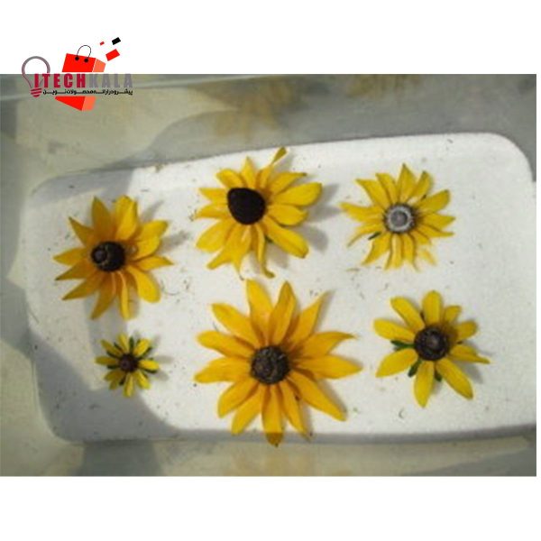 سیلیکاژل پودری سفید با نشانگر آبی (1 کیلویی)