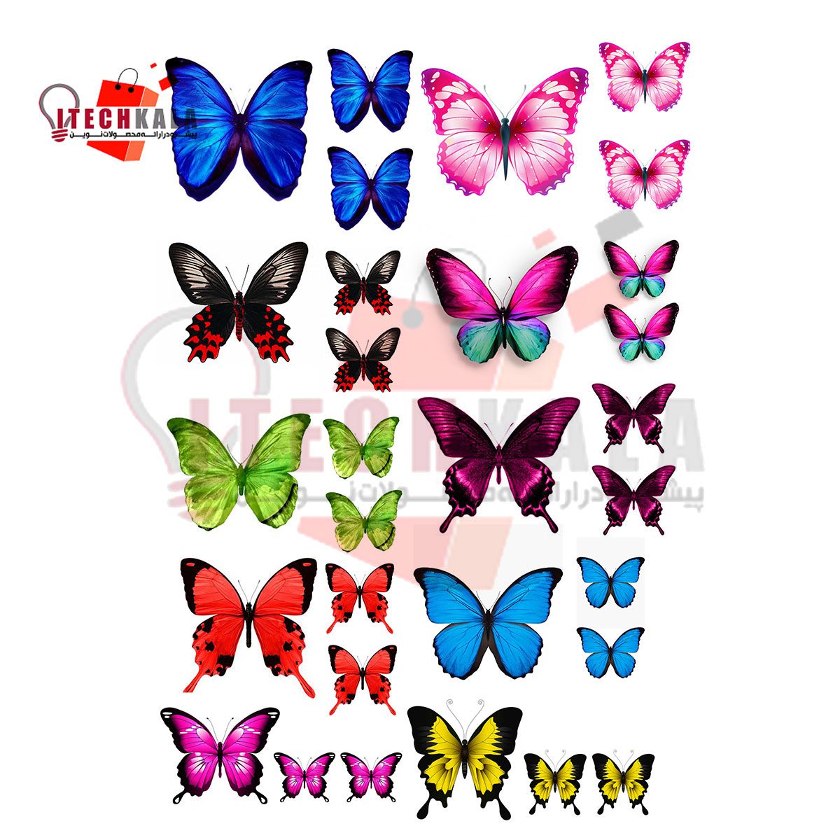 طلق ترنسپرنت رنگی مدل ست پروانه